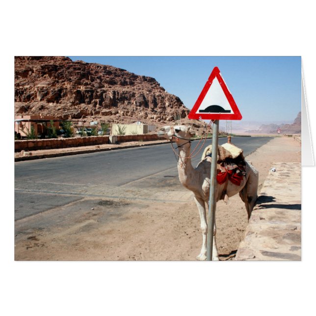 wadi rum camel stop (Front Horizontal)