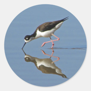 Wading Bird Calm Water Reflection Photo Nature Classic Round Sticker