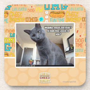 Wadya mean 'Get help'? Coaster
