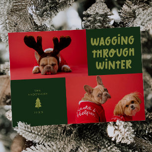 Wagging Through Winter Green Pet Photo Holiday Card