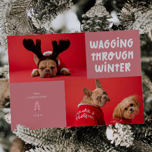 Wagging Through Winter Pink Pet Photo Holiday Card