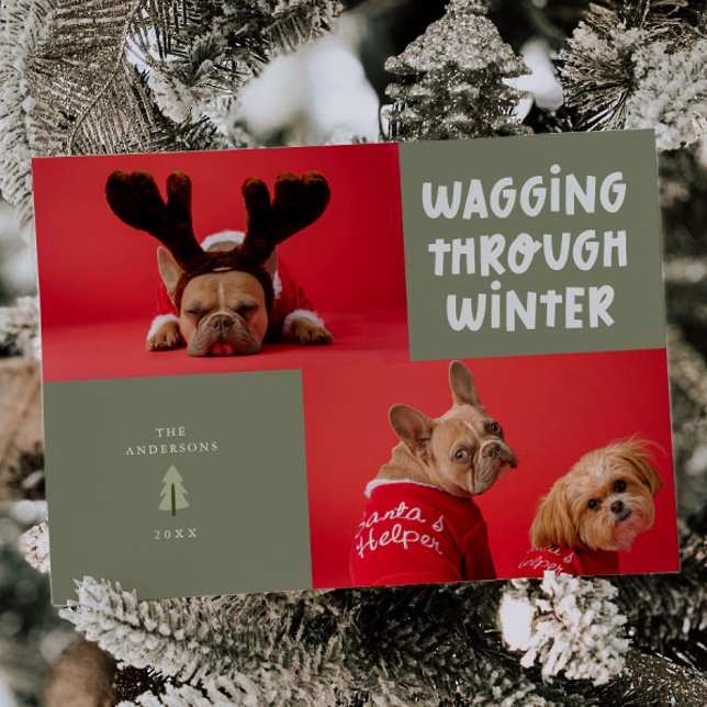 Wagging Through Winter Sage Green Pet Photo Holiday Card (Creator Uploaded)