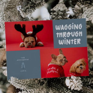 Wagging Through Winter Slate Blue Pet Photo Holiday Card