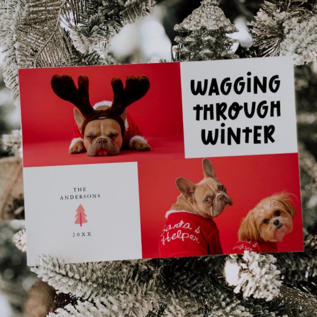 Wagging Through Winter White Pet Photo Holiday Card (Creator Uploaded)