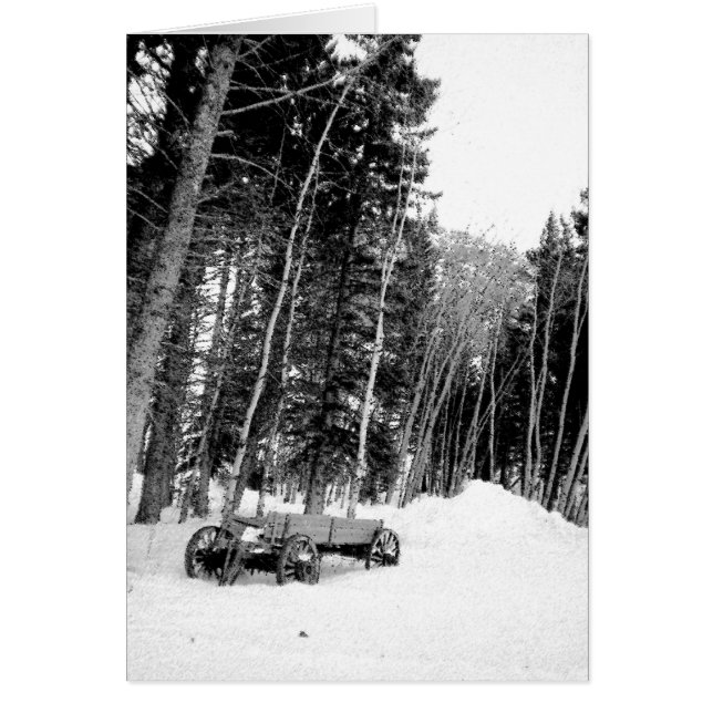 Wagon dans la forêt d'hiver (Devant)