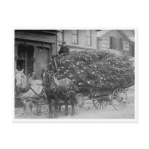 Wagon Load of Christmas Trees