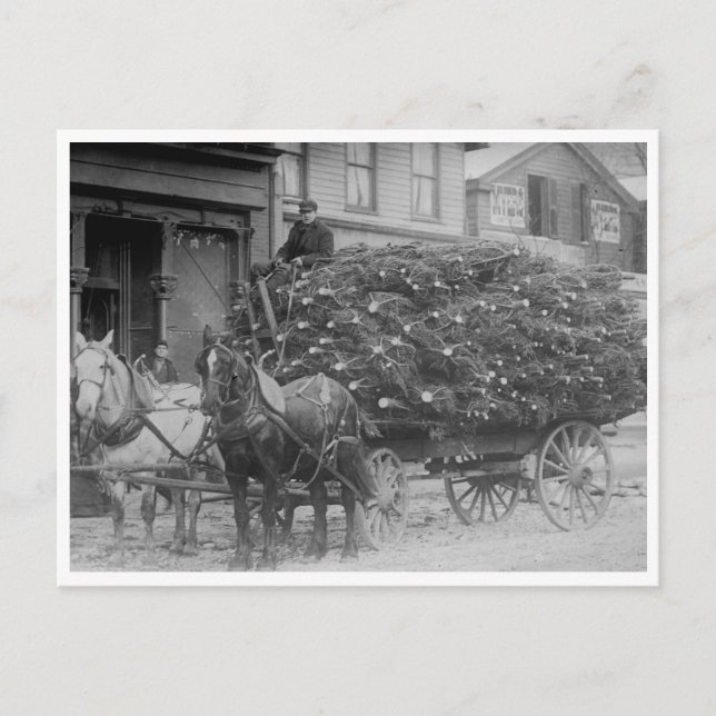 Wagon Load of Christmas Trees Postcard (Front)