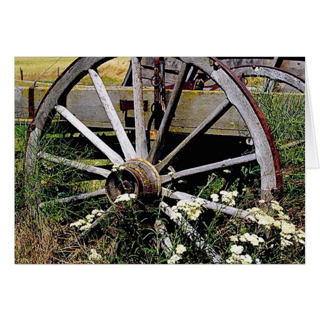 Wagon Wheel (Devant horizontal)