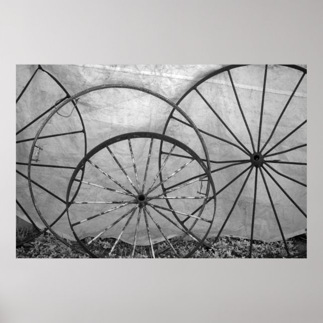 Wagon Wheel Still Life Poster (Front)