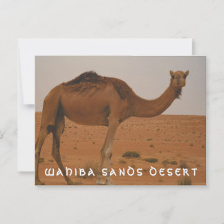 Wahiba sands desert postcard 