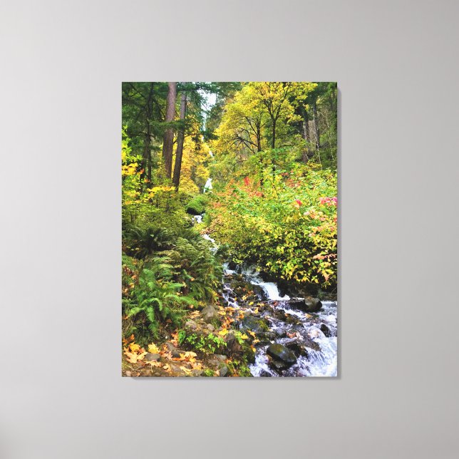 Wahkeena Falls, Columbia River Gorge, Oregon Canvas Print (Front)