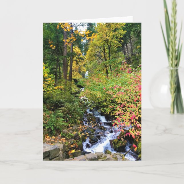 Wahkeena Falls, Columbia River Gorge, Oregon Card (Front)