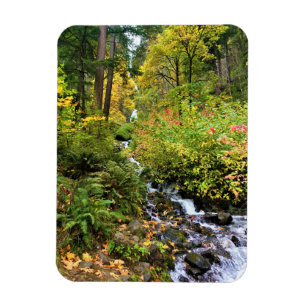 Wahkeena Falls, Columbia River Gorge, Oregon Magnet