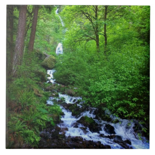 Wahkeena Falls, OR Tile