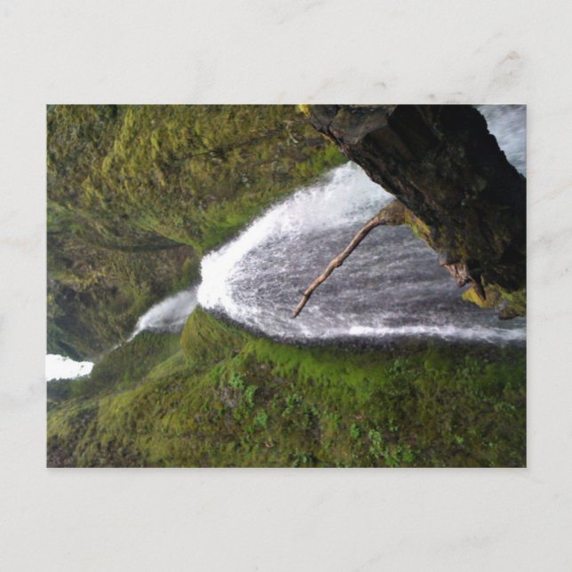 Wahkeena Falls, Oregon Postcard (Front)