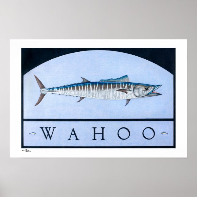 Wahoo Posters, Prints and Frames (Front)