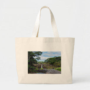 wai'ale falls in wailuku river state park large tote bag