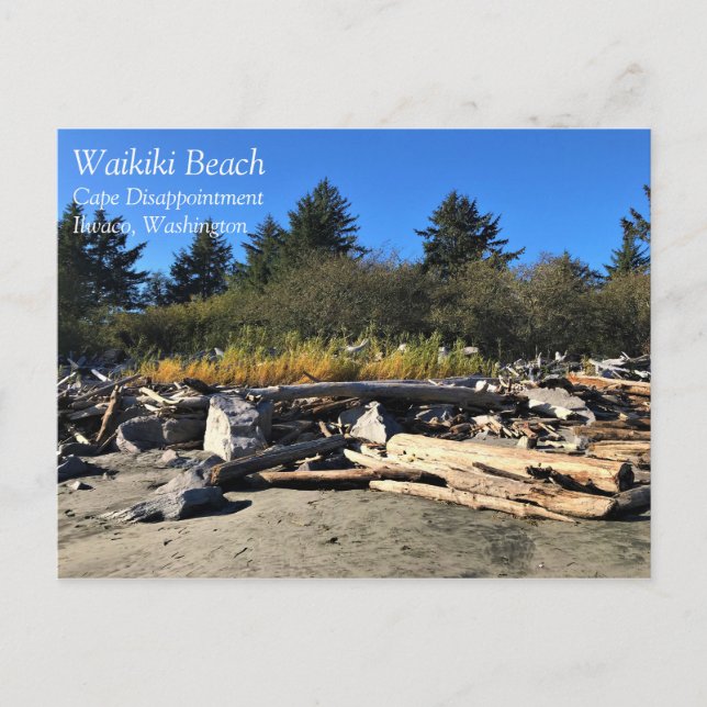 Waikiki Beach, Cape Disappointment, Washington Postcard (Front)