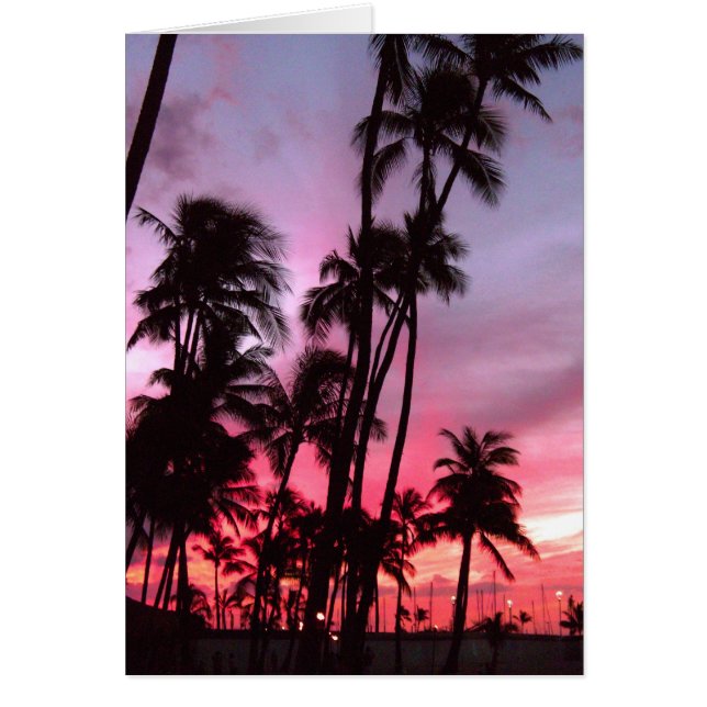 Waikiki Sunset (Front)