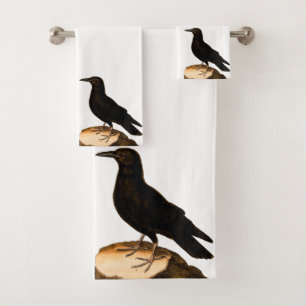 Wail Nature Black Bird Raven
