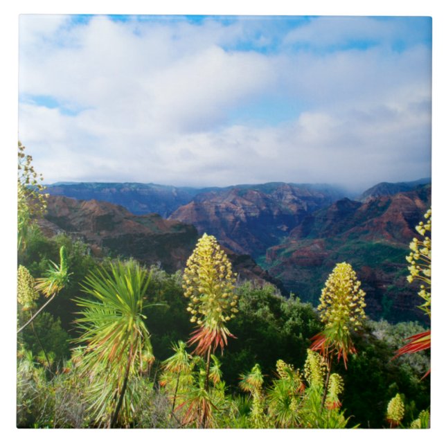 Waimea Canyon | Kauai, Hawaii Tile (Front)