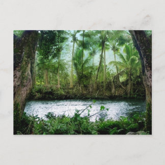 Waipio Valley Postcard