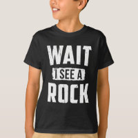 Wait I See A Rock Geology