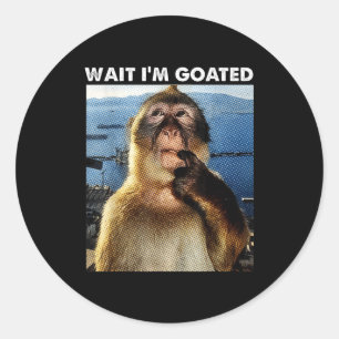 Wait I'm Goated Funny Thinking Monkey Meme Brainro Classic Round Sticker
