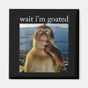 Wait I'm Goated Funny Thinking Monkey Meme Brainro Magnet