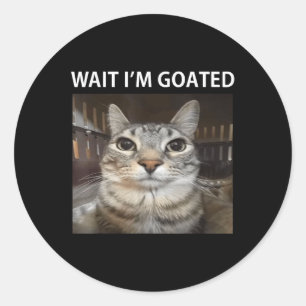 Wait Im Goated Silly Cat Meme  Classic Round Sticker