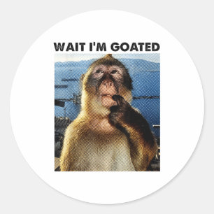 Wait I'm Goated Y2k Funny Thinking Monkey Meme Bra Classic Round Sticker
