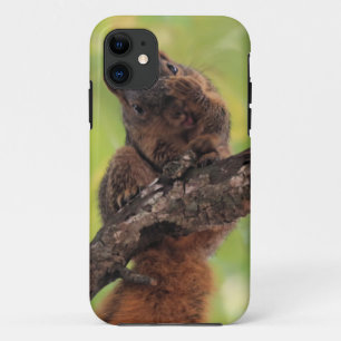 Wait! Let me fix my whiskers! iPhone 11 Case