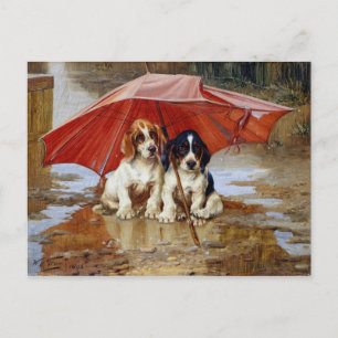 Wait Till the Clouds Roll By W.H. Trood cute dogs Postcard
