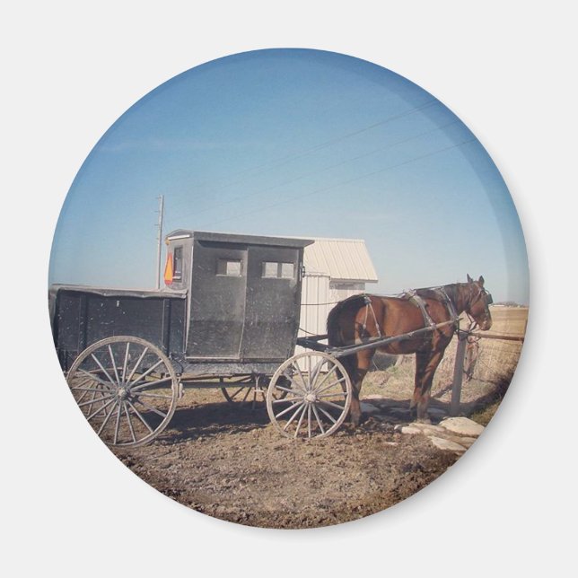 Waiting Amish Horse and Buggy Magnet (Front)