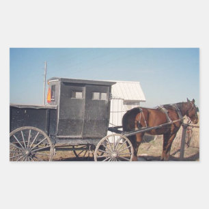 Waiting Amish Horse and Buggy Sticker