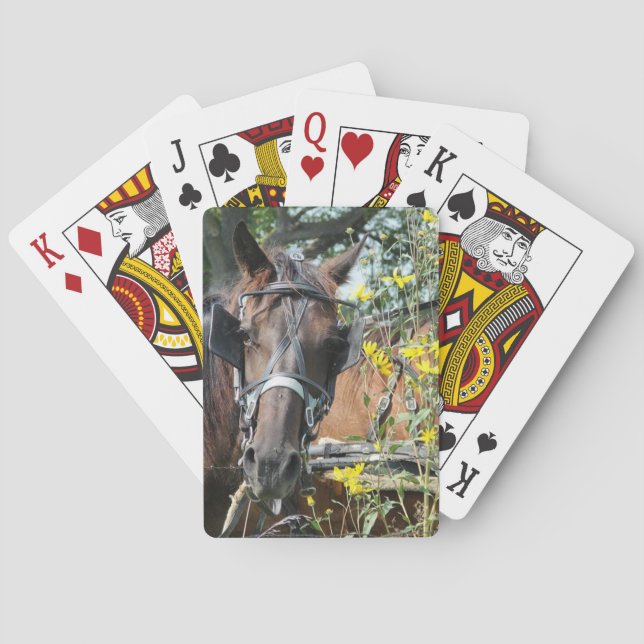 Waiting amish horse playing cards (Back)