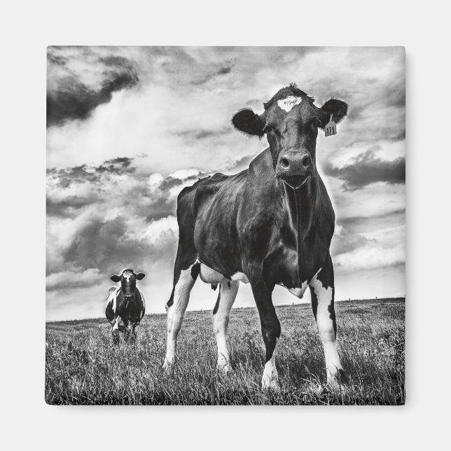 Waiting BW Crop Magnet (Front)