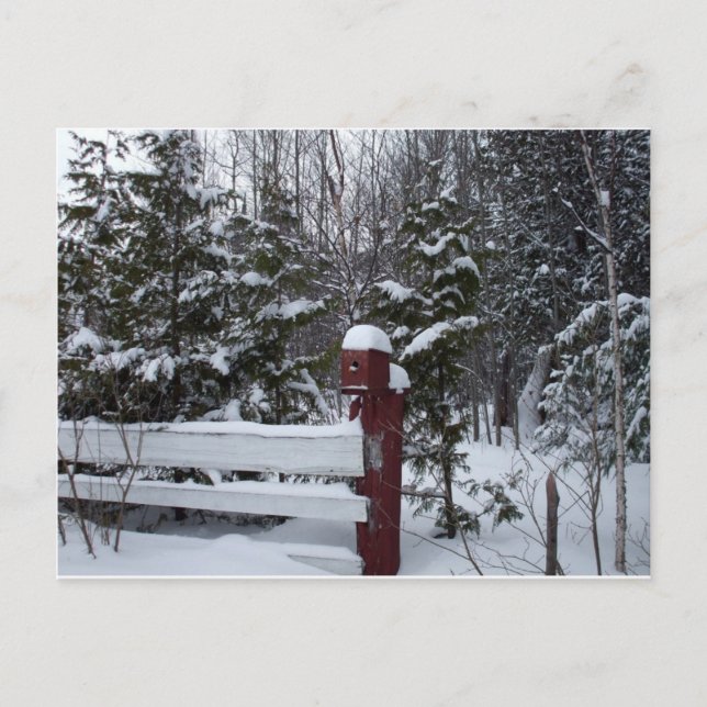 Waiting for Christmas-Bird House Holiday Postcard (Front)