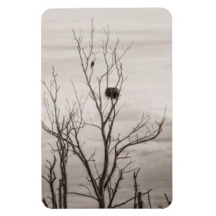 Waiting for Life Magnet