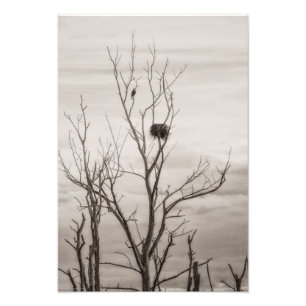 Waiting for Life Photo Print