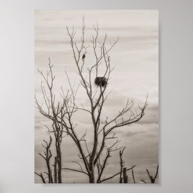 Waiting for Life Poster (Front)