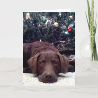 Waiting for Santa Holiday Card