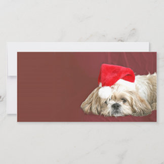 Waiting for Santa Holiday Card