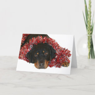 Waiting for Santa Holiday Card