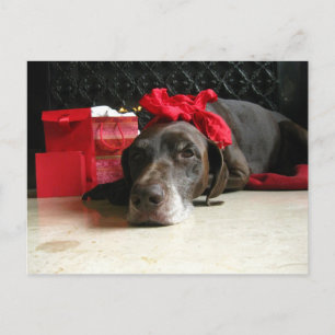 waiting for santa holiday postcard