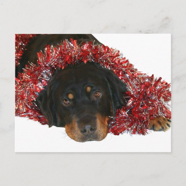 Waiting for Santa postcard (Front)