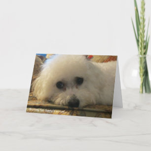 "Waiting for Santa's Arrival" Holiday Card