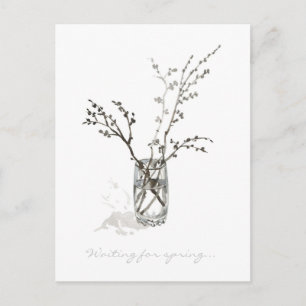 Waiting for Spring – Monochrome Budding Branches Postcard