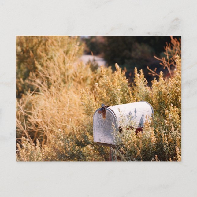 Waiting for the mail. postcard (Front)