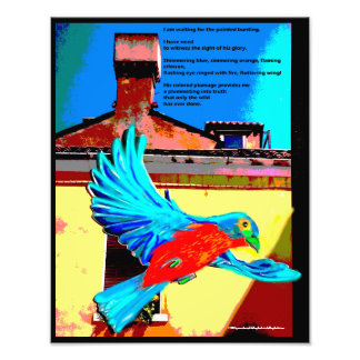 Waiting for the painted bunting photo print